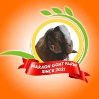 maragh_goat_farm