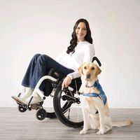 accessibility_with_aspen