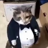 sonido original - Tecuentobroo