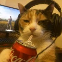 marquin_xp0