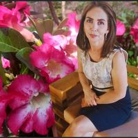 menasilveira52