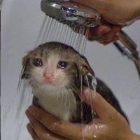 Teddy Picker by Arctic Monkeys sped up