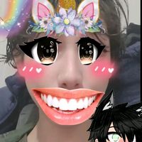 luisolibr13
