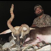 beansthetaxidermist