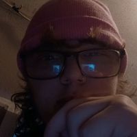brison6.0