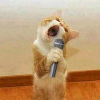 mscs.para.karaoke