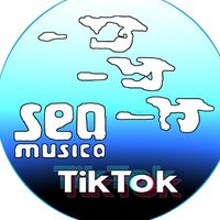 suono originale - Official Seamusica