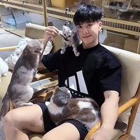 nhạc nền - Boy Caradoc