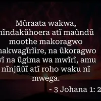 original sound - cikungash