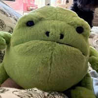 allthisoceanandnofrank