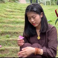 nhạc nền - Tuệ Liên Tâm