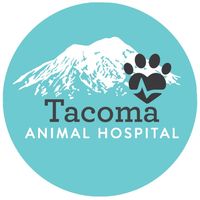 tacomaanimalhospital