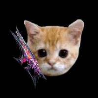 gatoytc1
