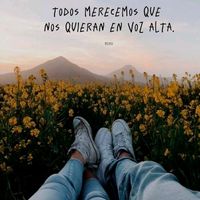 vayo_25