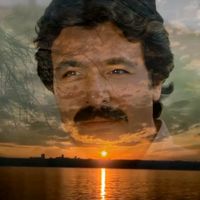 orijinal ses