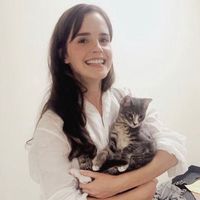 dracoxhp.stories