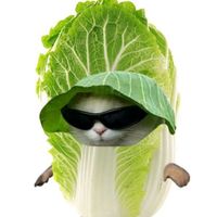 chananchaikrapho4