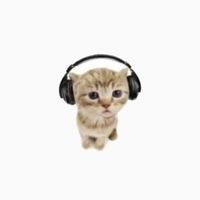 ConnectxRasta Geto devojka sped up
