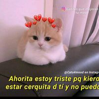 morenoo059