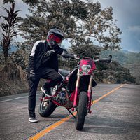 larios_drzsm