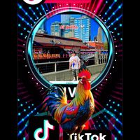 gallito434