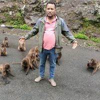 original sound - Dabtamu Damite