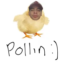 original sound - .nataxpollin