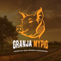 granjamypig