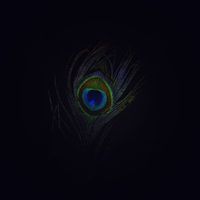 The Weeknd Can we get high prod.Durdnn