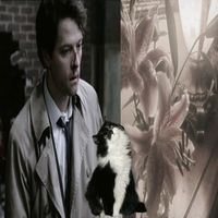 оригінальний звук