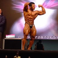 moisesugarteifbbelitepro