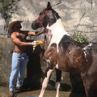 tarcisiobento0