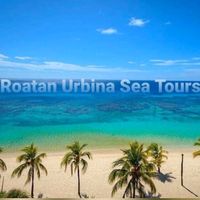 roatanurbinaseatours17