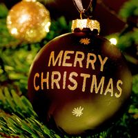 countdowntochristmas024