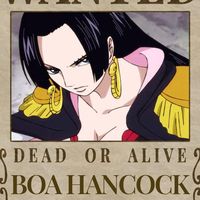 bhoa.d..hancock