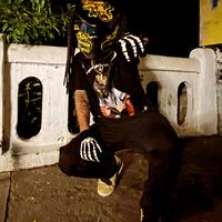 depredador_fiestero503