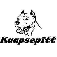 kaapsepitt