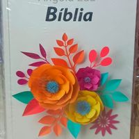felisbela385