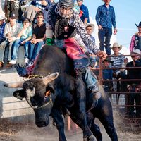 juannolasco79