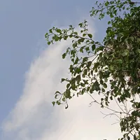 original sound - ang_0906