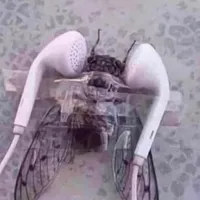 the sparkle in question