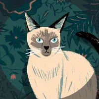 original sound - softcat11