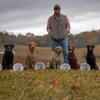 cypresscreekretriever