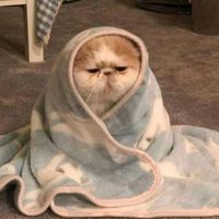 Tú me amas y yo te amo