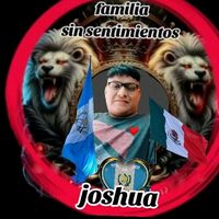 joshuahernandez7262