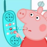 softc_.peppa