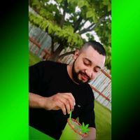 luis_r6.6