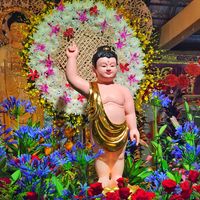 nhạc nền - Tâm Trí