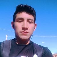 flores.ptlv92