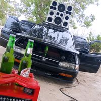 jancito_np2001